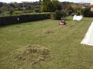 Συντήρηση κήπων-Εξαραίωση χλοοτάπητα-Turf verticutting-Topos Renovation3