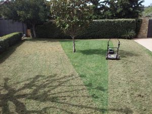 Συντήρηση κήπων-Εξαραίωση χλοοτάπητα-Turf verticutting-Topos Renovation4
