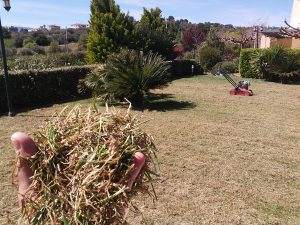 Συντήρηση κήπων-Εξαραίωση χλοοτάπητα-Turf verticutting-Topos Renovation7